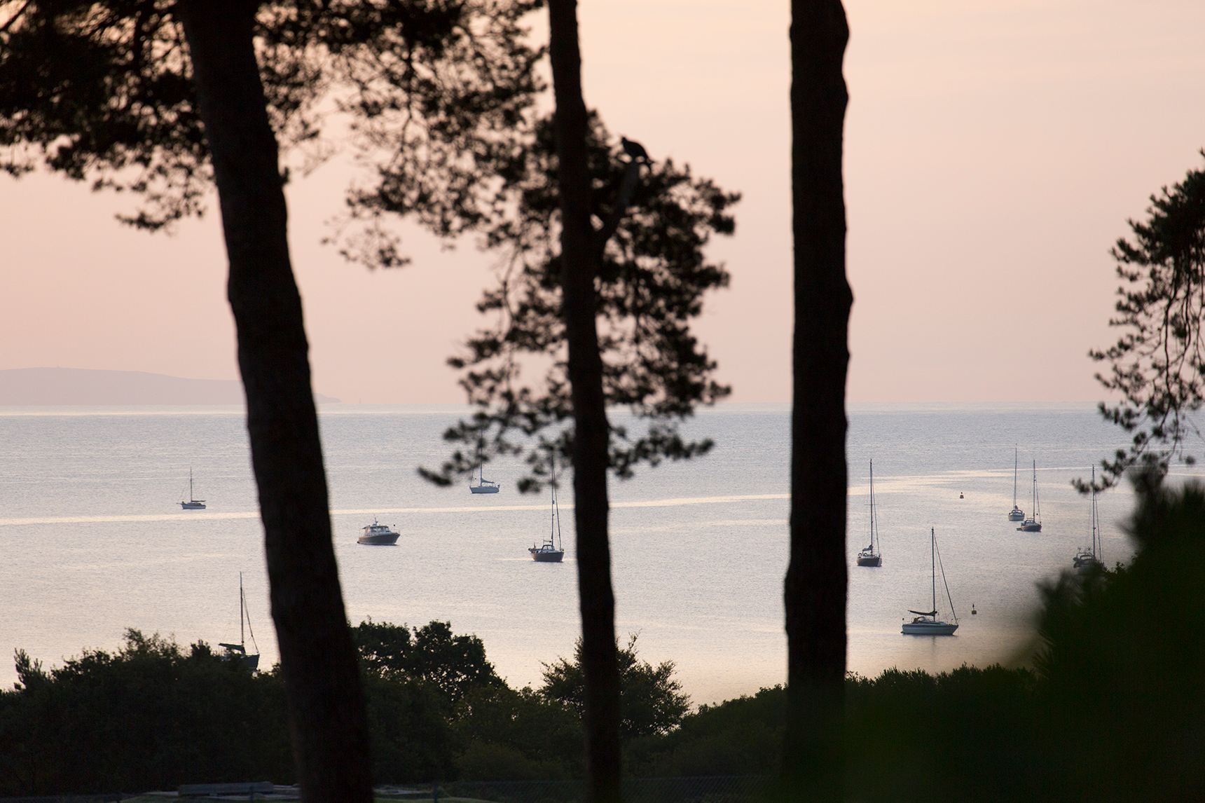 Looking through the trees onto pink skies and boats on the Dorset coast